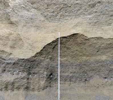 Detail der Illmensee-Schotter bei Stockach Nahaufnahme der Abbauwand einer Kies- und Sandgrube. In der Mitte der Wand verläuft eine gebogene Linie, die hellbraune Schichten oben von dunkelgrauen unten trennt. Eine Messlatte reicht bis zum höchsten Punkt des Bogens.