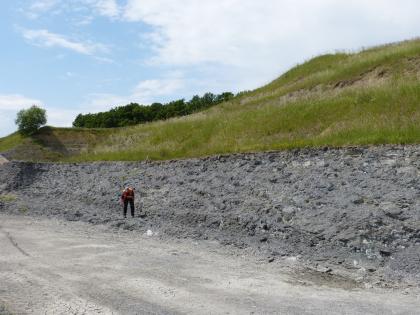 Tonsteine der Opalinuston-Formation. Tonsteine der Opalinuston-Formation.
