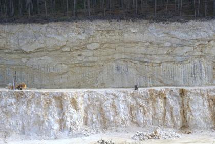 Hochreine Kalksteine im Steinbruch Blaubeuren-Altental Blick auf eine gestufte Steinbruchwand. Die untere Abbausohle ist weißlich bis hellbraun und senkrecht gefurcht, die obere Sohle ist bräunlich grau und zeigt sowohl waagrechte Furchen als auch größere, eingeschlossene Blöcke. Die Kuppe ist dicht bewaldet.