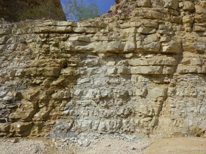 Abbauwand im Steinbruch Eigeltingen. Abbauwand im Steinbruch Eigeltingen.