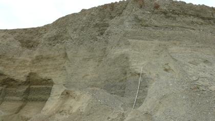 Abbauwand von Grobkiesen und Grobsanden der Illmensee-Formation Blick auf den oberen, leicht gerundeten Teil einer graubraunen Abbauwand von Grobkiesen und Grobsanden.