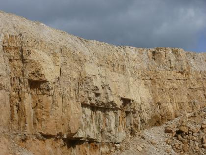 Dickbankige Kalksteine der Mittleren Lochen-Schichten Teilansicht einer Steinbruchwand. Das rötlich braune bis gelbliche Gestein liegt in dicken Bänken auf. Unterhalb der Bildmitte ist Gestein herausgebrochen. Rechts unten liegt Schutt.