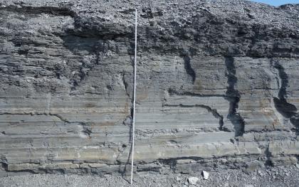 Abbauwand: Bituminöser Mergel- und Kalkstein. Abbauwand: Bituminöser Mergel- und Kalkstein.