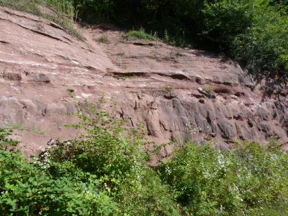 Abbauwand einer ehemaligen Abbaustelle bei Schopfheim. Abbauwand einer ehemaligen Abbaustelle bei Schopfheim.