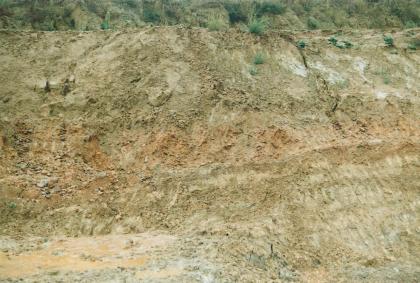 Abbauwand in der Tongrube Rümmingen. Abbauwand in der Tongrube Rümmingen.