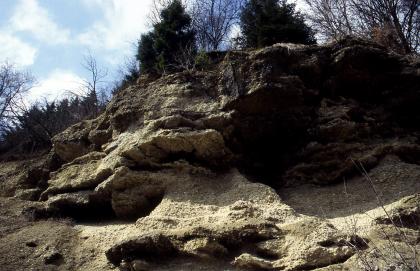 Herausgewitterte Nagelfluhlagen in einer ehemaligen Kiesgrube Blick auf einen zerklüfteten Hang mit einer großen, runden Nische am rechten Bildrand. Oberhalb des Hanges ist Baumbewuchs erkennbar.