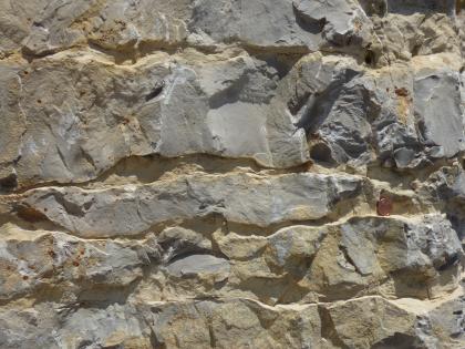 Detail aus dem Plattenkalk. Detail aus dem Plattenkalk.