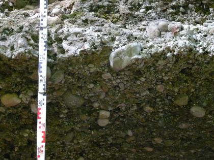 Zu Nagelfluh verfestigte Tiefere Hochrhein-Deckenschotter Das Bild zeigt eine durch Licht und Schatten geteilte Erdschicht mit Gesteinslagen unterschiedlicher Größe.