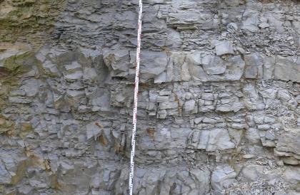 Raue Kalke der Zementmergel-Formation. Raue Kalke der Zementmergel-Formation.