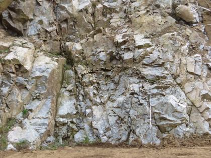 Diatektisch veränderter Paragneis des Wiese-Wehra-Komplexes Blick auf eine Abbauwand eines Steinbruchs. Das anstehende Gestein ist hell- bis mittelgrau, sehr heterogen und stark deformiert. Vor der hohen Wand steht ein Maßstab.