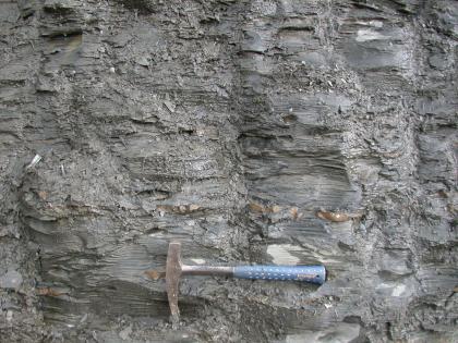 Blick auf eine graue Gesteinswand mit waagrecht verlaufenden feinen Furchen und Scherben. Unten mittig zeigt ein Hammer die Größenverhältnisse an.