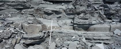 Bituminöse Tonsteine mit Kalksteinbänken. Bituminöse Tonsteine mit Kalksteinbänken.