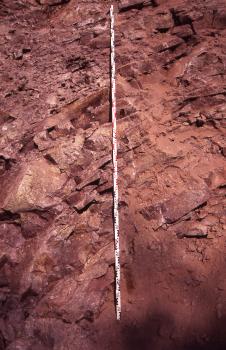 Tektonisch beanspruchter Heidelberg-Granit Nahaufnahme von rötlichem Gestein. Feine und gröbere Schichten verlaufen dabei bogenförmig übereinander.