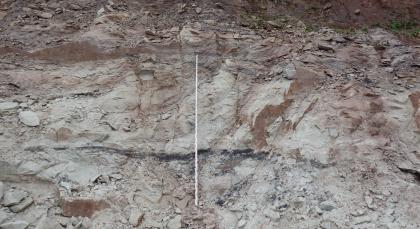 Abbauwand eines in Abbau stehenden Steinbruchs bei Berglen-Hößlinswart Frontalansicht einer hellgrauen bis rötlichen Steinbruchwand. Oben ist das Material teilweise scherbig. In der Bildmitte ist eine Messlatte angelehnt.