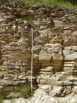 Blick auf eine Steinbruchwand mit fein geschichtetem, plattigem Gestein.