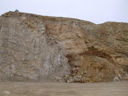 Lochen-Formation (Dolomit und Dedolomit), am rechten Bildrand erfolgt der Übergang in die Wohlgeschichtete-Kalke-Formation; Steinbruch am Plettenberg bei Dotternhausen Blick auf eine zweigeteilte, nach rechts leicht abfallende Steinbruchwand. Die linke Seite ist grau, die rechte Seite braun gefärbt.
