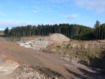 Übersicht über die Sandgrube Gschwend in östlicher Richtung Blick auf die Abbauarbeiten in einer Sandgrube. Mehrere Bagger und Fördergeräte sind in der Bildmitte im Einsatz. Rechts erhebt sich ein länglicher, teilweise bewachsener Hügel. Links sind Abraumspuren zu erkennen. Im Hintergrund steht Wald an.