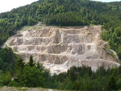Der Seebach-Granit ist ein hell- bis mittelgrauer Zweiglimmergranit Das Bild zeigt eine schön gestufte Abbauwand eines Steinbruchs, welche in Nadelwald eingebettet ist. Das Gestein ist hell- bis mittelgrau.