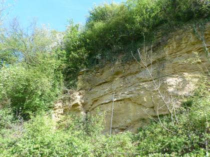Wechsellagerung plattiger Mergelsteine. Wechsellagerung plattiger Mergelsteine.