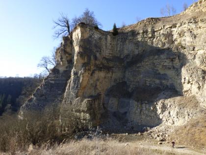 Stillgelegte Gewinnungsstelle im Oberen Muschelkalk Stillgelegte Gewinnungsstelle im Oberen Muschelkalk