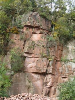 Sandsteine der Miltenberg-Formation des Unteren Buntsandsteins Blick auf eine mit Pflanzen bewachsene Abbauwand. Das Gestein ist hellrot, dickbankig und weist eine starke Klüftung auf. Vor der Wand liegt Geröll, über der Wand wächst Wald.