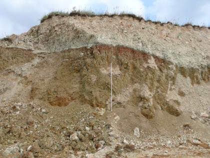 Tone und Süßwasserkalksteine der Oberen Süßwassermolasse Das Bild zeigt eine mehrere Meter hohe Abbauwand in einem Steinbruch. Das obere Drittel besteht aus beige-gräulichem Gestein, darunter befindet sich gelb-braunes Gestein. Das untere Drittel der Wand wird von Schutt verdeckt.