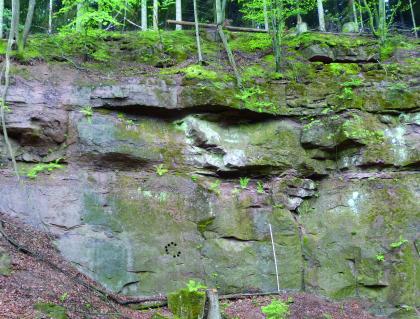 Alte Abbauwand vor einem Probeabbau. Alte Abbauwand vor einem Probeabbau.