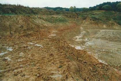Blick nach Nordosten auf die ehemalige Tongrube Rümmingen. Blick nach Nordosten auf die ehemalige Tongrube Rümmingen.