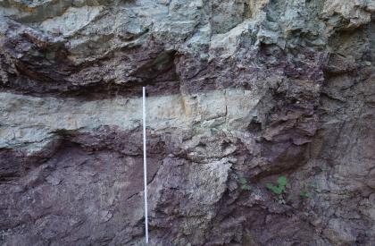 Mächtige Tonsteinzwischenlagen im Sandstein Nahaufnahme von Lagen violettfarbenem Gestein über und unter hellgrauem Stein.
