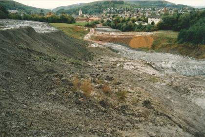 Übersicht über die ehemalige Tongrube Kandern-Ost. Übersicht über die ehemalige Tongrube Kandern-Ost.