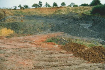 Übersicht über den Ostteil der Tongrube Müllheim-Feldberg. Übersicht über den Ostteil der Tongrube Müllheim-Feldberg.