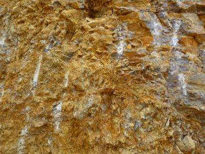 Stark verkippte Muschelkalkschichten Stark verkippte Muschelkalkschichten