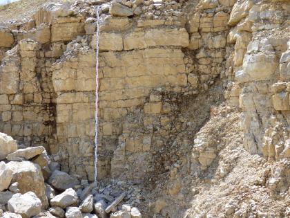 Gebankte Kalksteine des Plattenkalks im Oberen Muschelkalk. Gebankte Kalksteine des Plattenkalks im Oberen Muschelkalk.