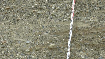 Wechsellagerung von Kiesen und Sanden Das Bild zeigt gröbere und feinere Kiese, die in hellbraunem Bodenmaterial eingebacken sind. Ein Maßstab rechts zeigt die Größenverhältnisse an.
