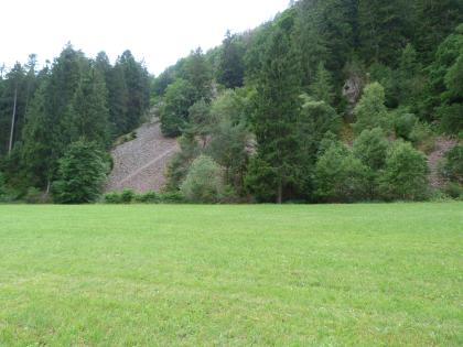 Hangschuttfächer des Kienbach-Granits Bewaldeter Berghang mit Hangschuttfächer bis zum Hangfuß. Am rechten Bildrand ragt eine Felsnase aus dem Wald. Im Vordergrund liegt eine gemähte Wiese.