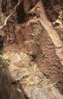 Sinterstrukturen auf Böttinger Marmor in der zentralen Thermenspalte Blick auf eine senkrecht aufsteigende, treppenartig gestufte Gesteinswand. Das Gestein ist rötlich grau und hat im oberen Aufsatz eine knollige Oberfläche.