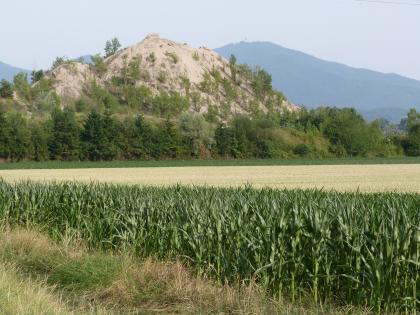 Haldenreste des Kalisalzbergwerks in Buggingen. Haldenreste des Kalisalzbergwerks in Buggingen.