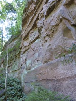 Blick auf die Abbauwand eines Steinbruches. Das Gestein ist rötlich grau und zeigt rechts unten Bearbeitungsspuren. Darüber ist die Wand zerfurcht und teilweise bewachsen. 