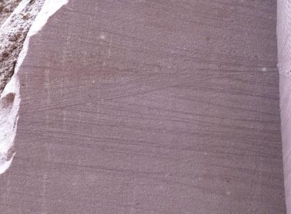 Sandstein aus dem Hauptwerksteinhorizont im Steinbruch am Langauweg Nahaufnahme von rötlich grauem, aufgeschnittenem Gestein mit meist waagrecht verlaufenden, dunkleren Streifen. Etwa in der Bildmitte verlaufen diese Streifen auch schräg.