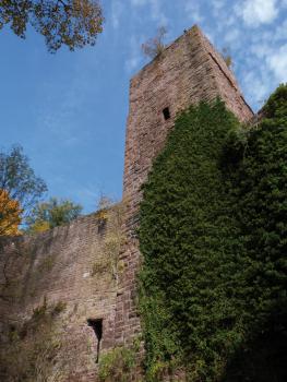 Burg Liebeneck Aufwärts blickend sieht man links eine Burgmauer aus rötlichem Stein und rechts einen hinter Bäumen aufragenden, viereckigen Burgturm.