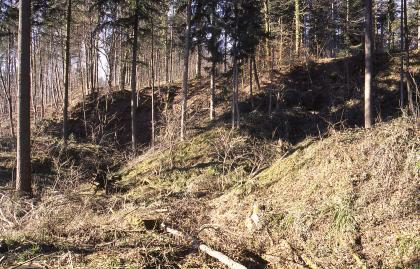 Historische Steinbrüche im Oberen Buntsandstein nördlich von Schopfheim Blick auf ein Waldstück mit überwachsenen, ehemaligen Steinbruchhügeln.