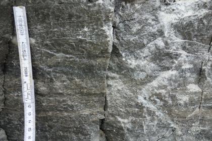 Dunkelgrauer Anhydritstein Nahaufnahme von dunkelgrauem Gestein mit senkrecht verlaufendem Riss in der Mitte und weißlichen Kristallen rechts. Links ist ein Maßstab angebracht.