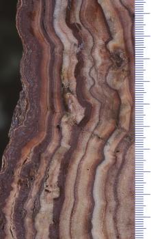 Detailaufnahme des Böttinger Marmor Längsschnitt eines geschliffenen Steines mit senkrechtem, streifigem Muster. Dunkle Farben wechseln sich dabei mit hellen Farben ab.