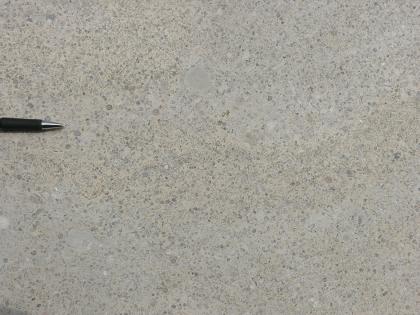 Crailsheimer Muschelkalk, poliert, aus dem Steinbruch Satteldorf-Neidenfels Nahaufnahme einer polierten Gesteinsplatte. In der bräunlich grauen Oberfläche sind zahlreiche bläuliche Linsen eingearbeitet. Links am Bildrand dient die Spitze eines Kugelschreibers als Größenvergleich.