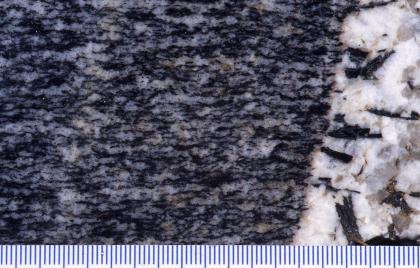Großaufnahme einer links grau und schwarz gestreiften Gesteinsoberfläche. Rechts ist ein kleiner Teil weiß gefärbt, mit stiftartigen schwarzen Einschlüssen. Am unteren Bildrand verläuft eine Millimeterskala.