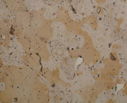 Top des mittleren Werksteinlagers in Gauingen Nahaufnahme einer ungeschliffenen Gesteinsoberfläche. Auf dem hellgrauen Gestein verteilen sich bräunliche Schlieren sowie kleine dunkle Vertiefungen.