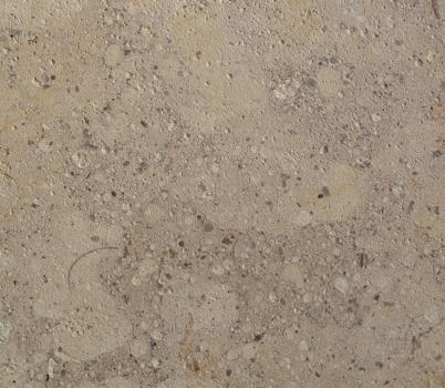 Kreidiger Süßwasserkalkstein Nahaufnahme einer ungeschliffenen Gesteinsoberfläche. In die helle, gelblich graue Gesteinsfarbe sind dunklere Stellen sowie Vertiefungen eingestreut.