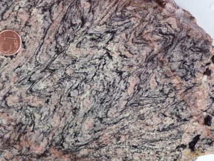 Stark gefalteter Gneis aus dem Steinbruch Gengenbach Nahaufnahme eines rosa bis weißlichen Gesteinsbrockens mit dunklen, wellenartigen Mustern. Eine Cent-Münze links oben zeigt die Größenverhältnisse an.