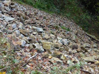 Geröllfeld aus Münsterhalden-Granit.  Geröllfeld aus Münsterhalden-Granit.