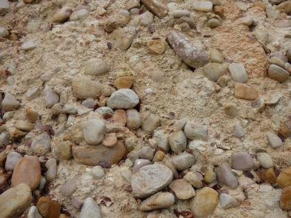 Gerölle der Heubergschotter. Gerölle der Heubergschotter.